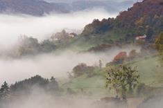 Bettendorf_Pierre Haas