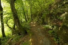 Naturpark DELUX ORTAL