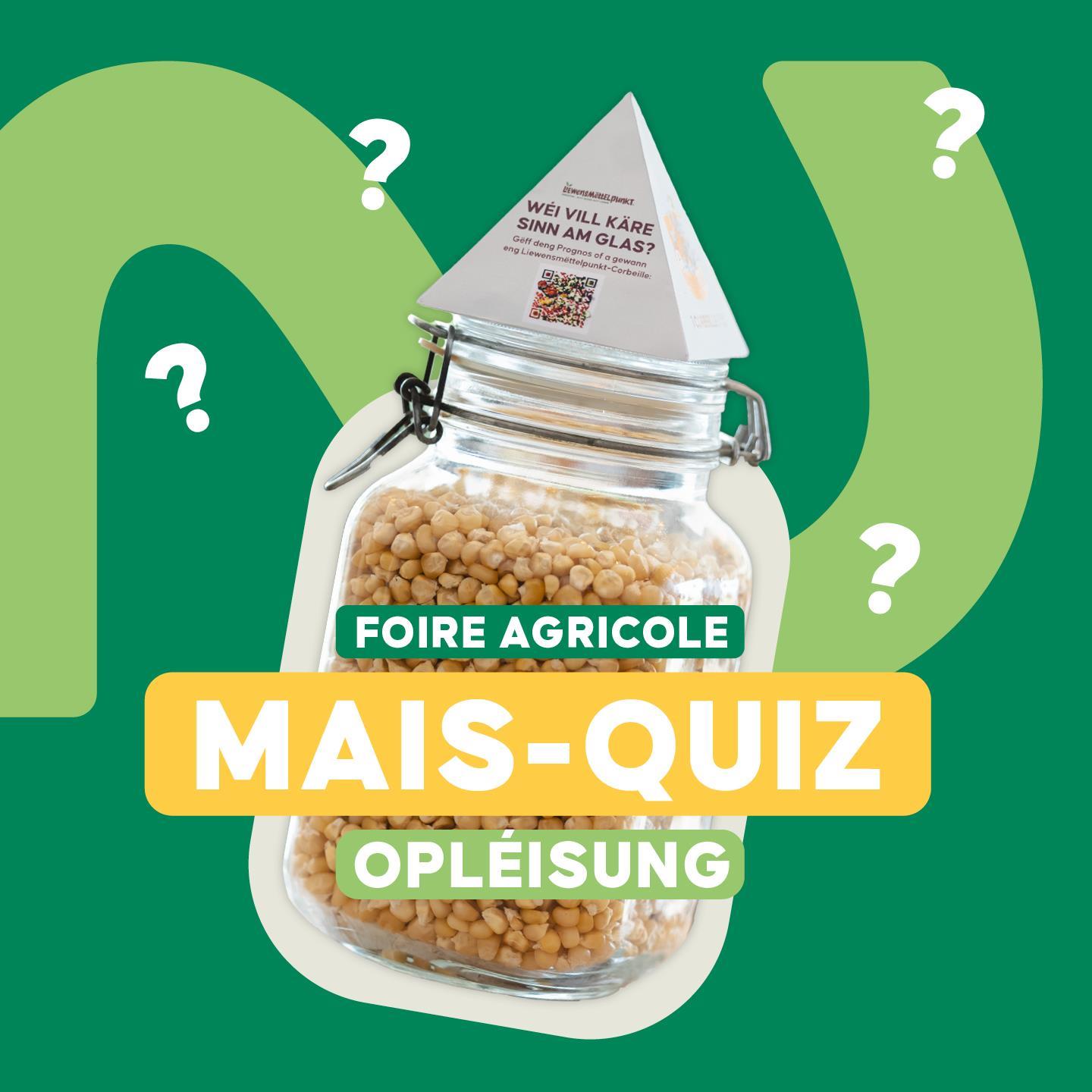 Quiz sur le maïs - Actualités