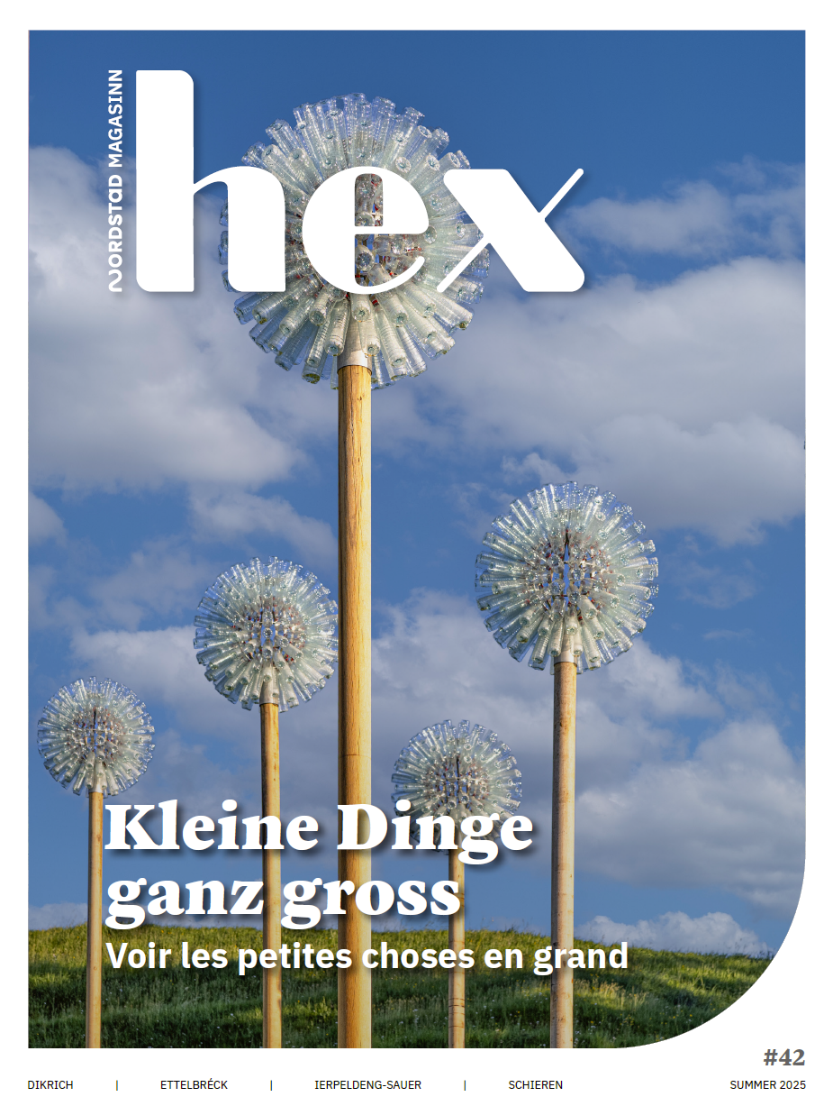hex magazine 42 - Hex #42 Sommer 2025
