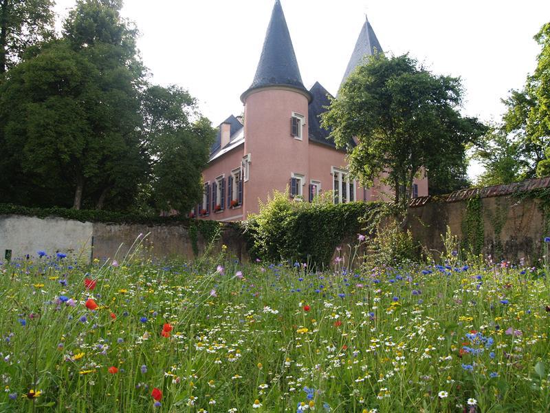 Schloss Erpeldange - Kultur & Kunst - KREATIV