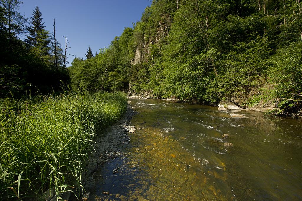 Naturpark DELUX ORTAL - NaturWanderPark Delux