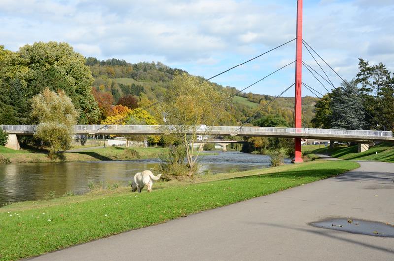 Leben am Wasser - Stadtentwicklung