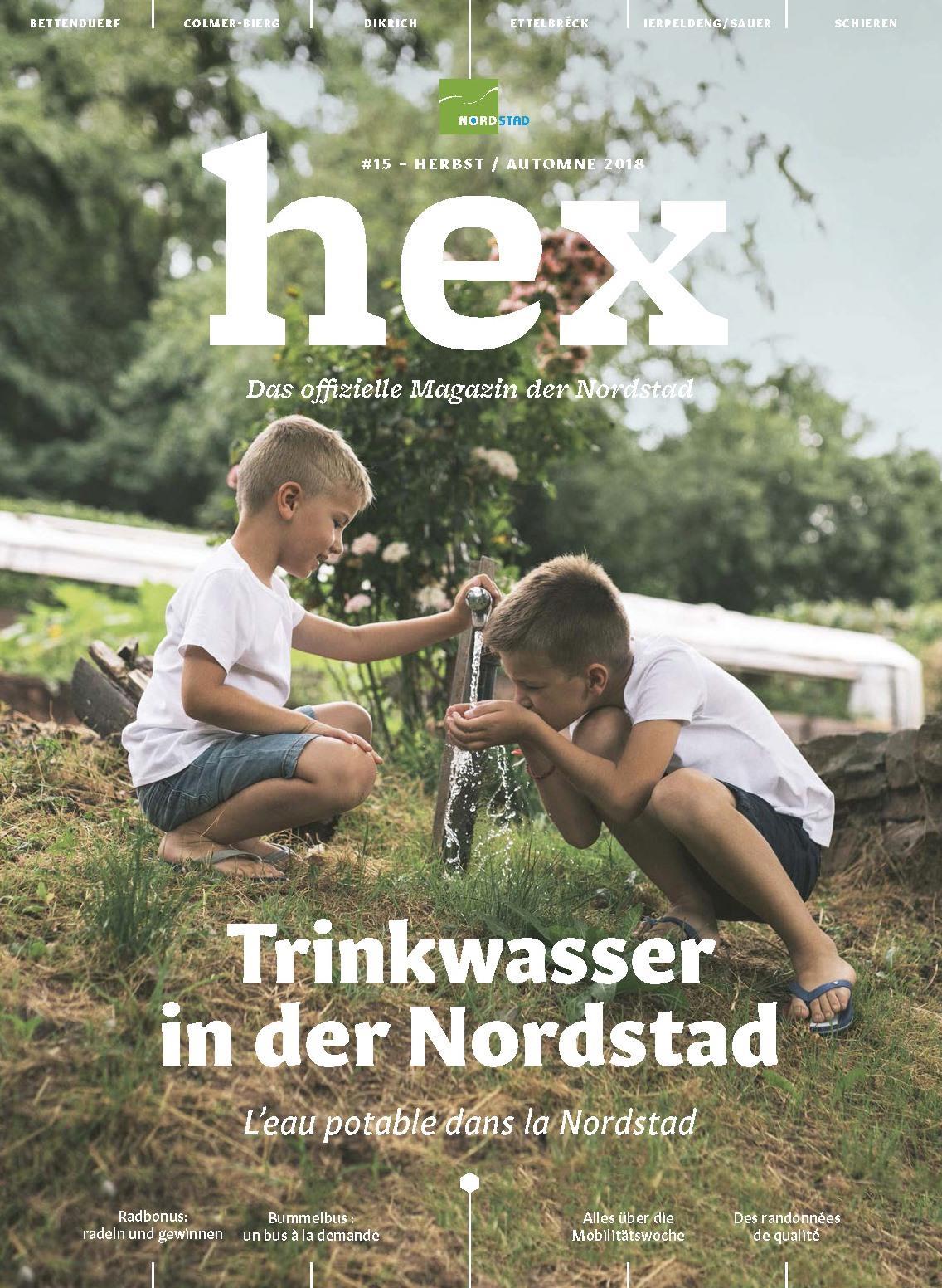 hex15 - Hex #15 automne 2018